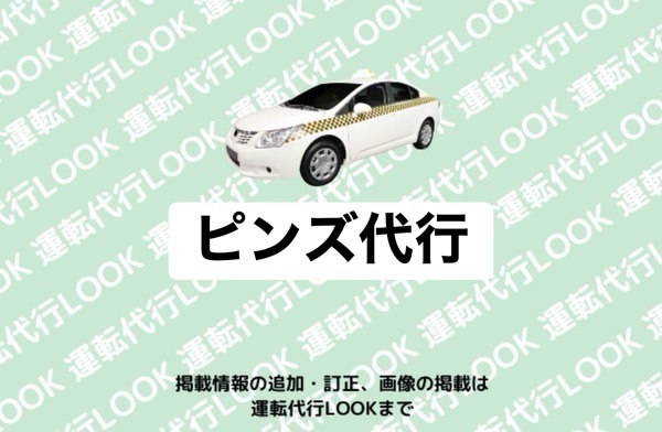 ピンズ代行 上市